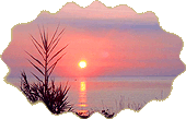 corse locations de villas � moriani-plage Folelli